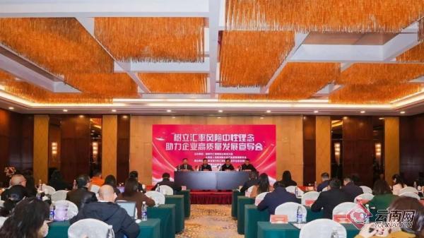 开云体育材干尽量裁减汇率波动对主营业务和企业财务的负面影响-Kaiyun网页版·「中国」开云官方网站 登录入口