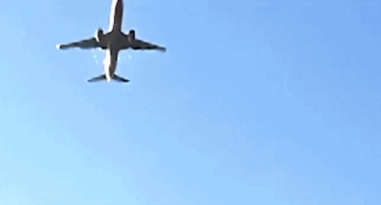 开yun体育网1只麻雀≈1颗炮弹 “飞鸟撞机”为何列入A级航空可怜？-Kaiyun网页版·「中国」开云官方网站 登录入口
