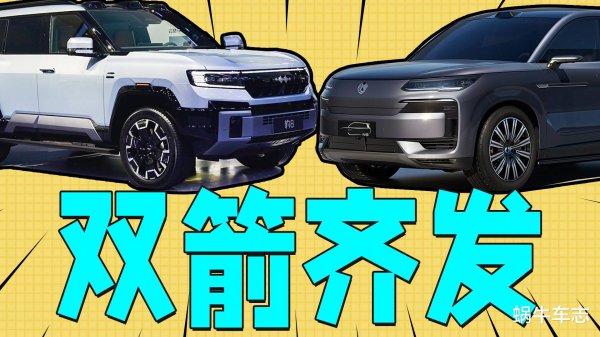 开云体育腾势N9一看尺寸外形-Kaiyun网页版·「中国」开云官方网站 登录入口