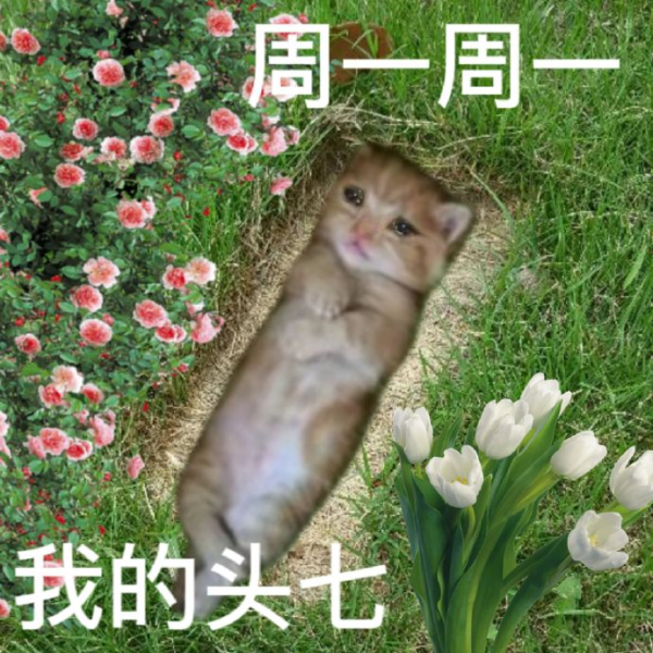 开云体育(中国)官方网站该司机试驾车企回复：正在安抚客户-Kaiyun网页版·「中国」开云官方网站 登录入口