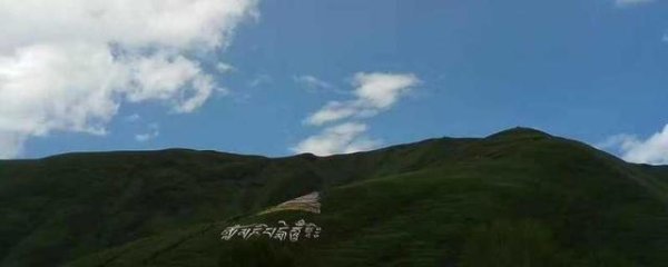 开云(中国)kaiyun网页版登录入口相比传统的参不雅阶梯是从东部的第1窟启动-Kaiyun网页版·「中国」开云官方网站 登录入口