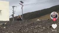 高速处事区充电桩被奉告无法使用：有只狗熊一直守着